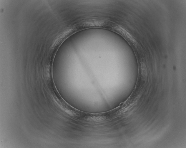 X0000072550537200607281651