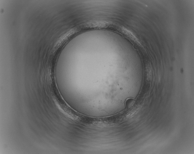 X0000072550538200607281651