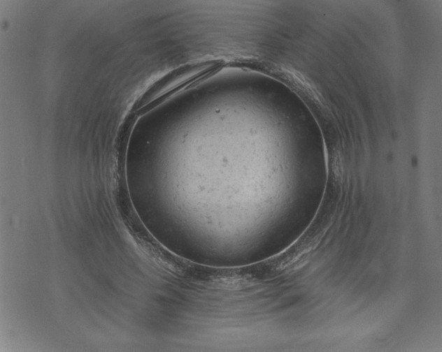 X0000072550540200607281651