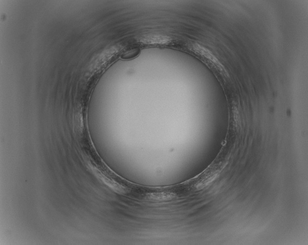 X0000072550541200607281651