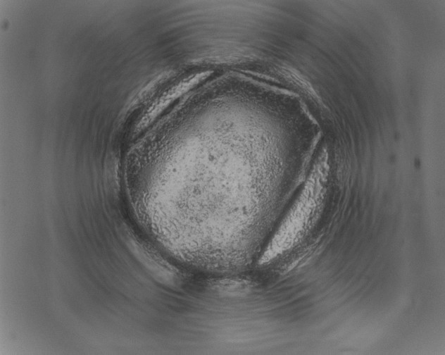 X0000072550542200607281651