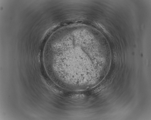 X0000072550543200607281651