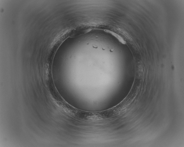 X0000072550544200607281651