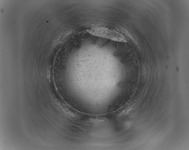 X0000072550545200607281651