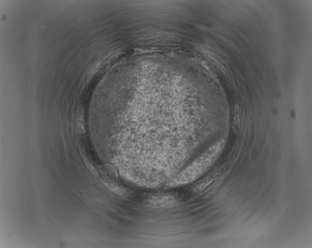 X0000072550547200607281651