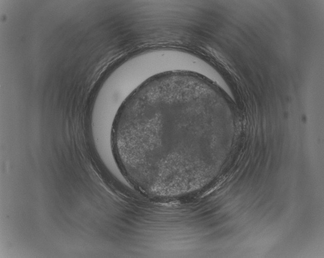 X0000072550548200607281651