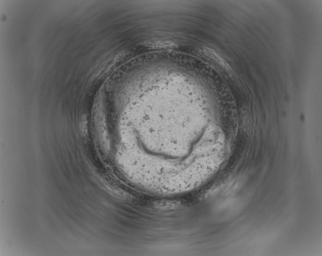 X0000072550549200607281651