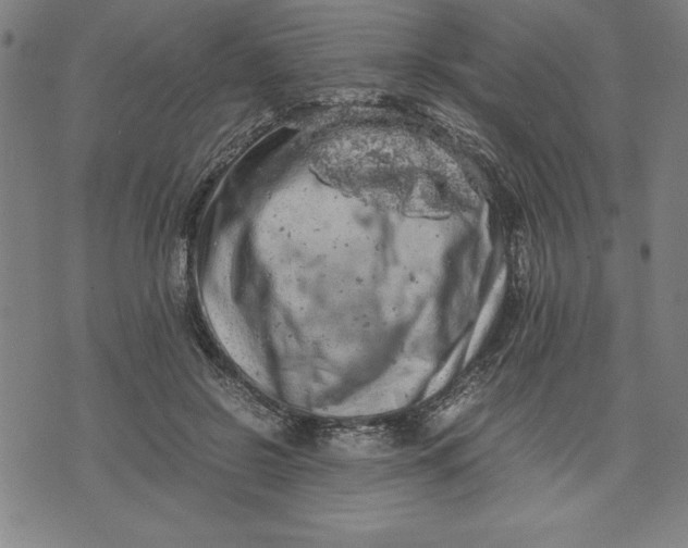 X0000072550550200607281651