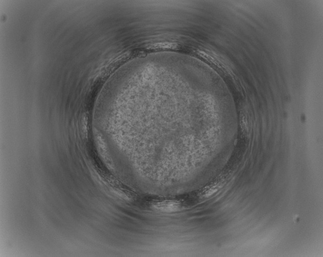 X0000072550551200607281651