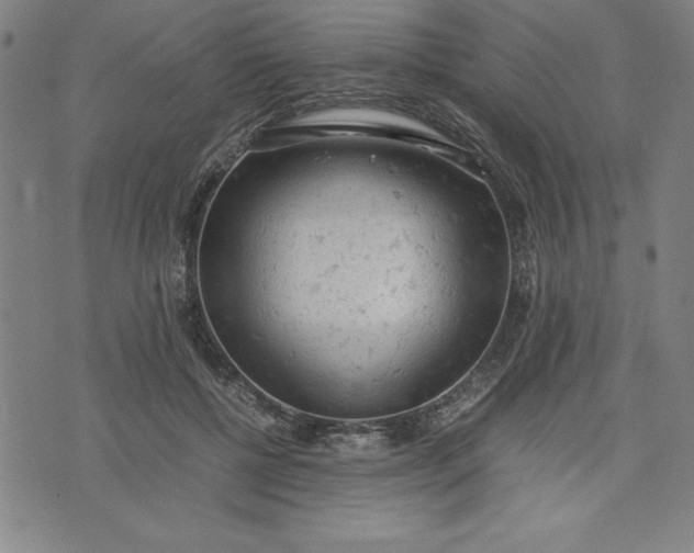 X0000072550552200607281651