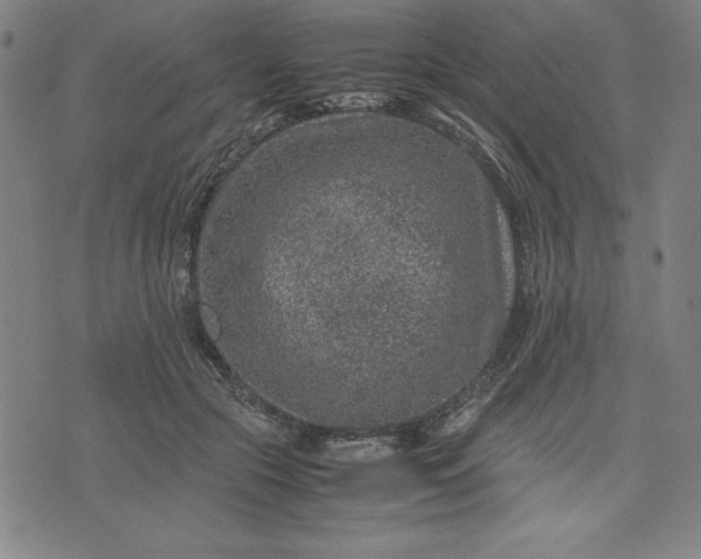 X0000072550553200607281651