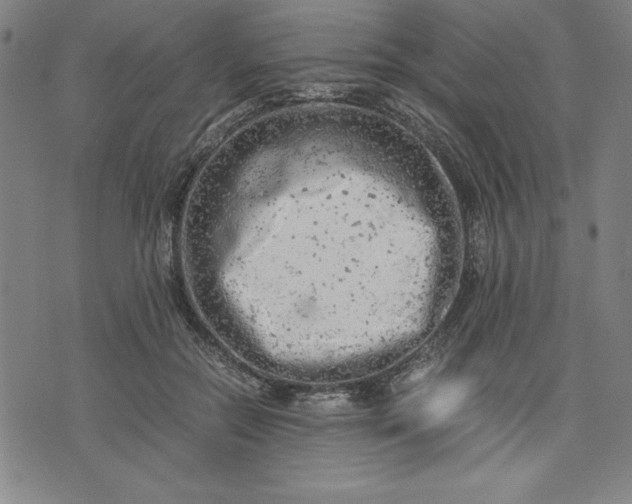 X0000072550554200607281651