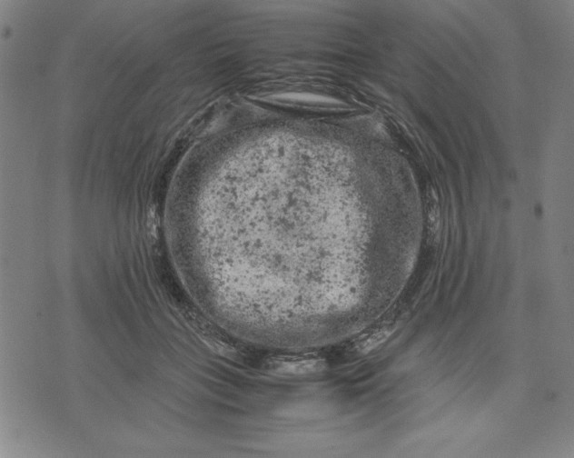 X0000072550555200607281651