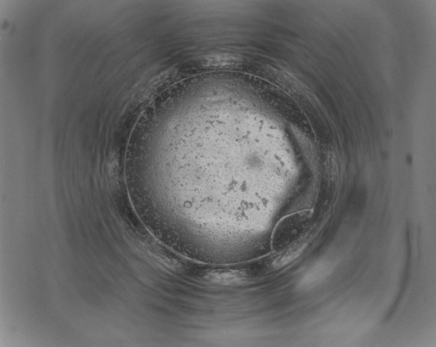 X0000072550557200607281651