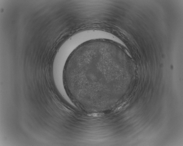 X0000072550558200607281651