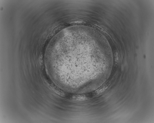 X0000072550559200607281651