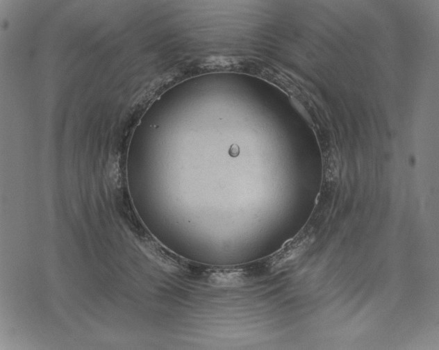 X0000072550560200607281651