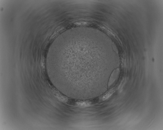 X0000072550561200607281651