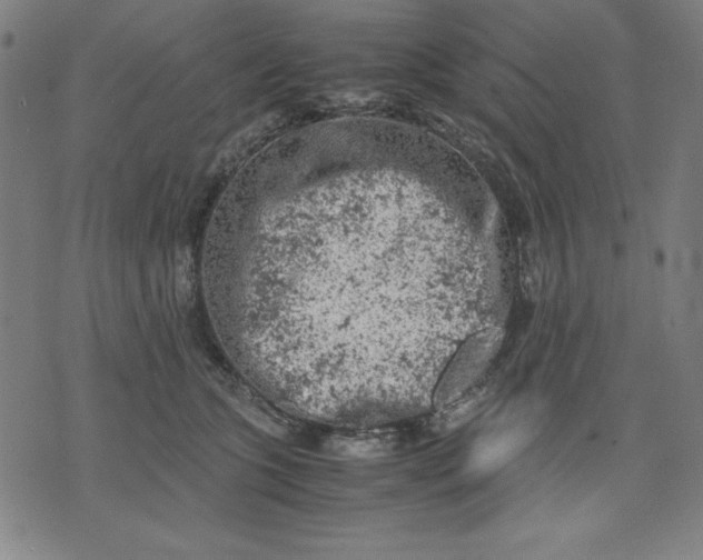 X0000072550563200607281651