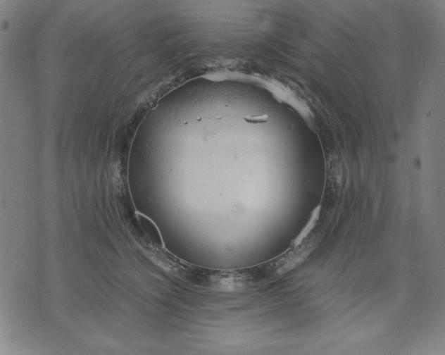 X0000072550564200607281651