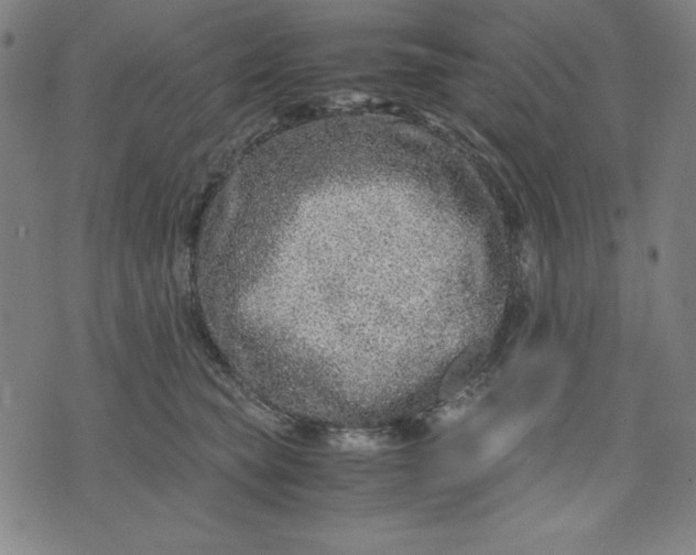 X0000072550565200607281651