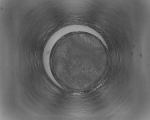 X0000072550566200607281651