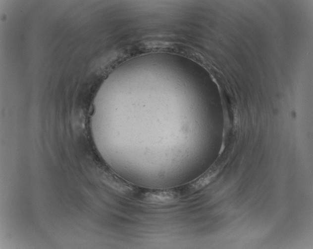 X0000072550567200607281651