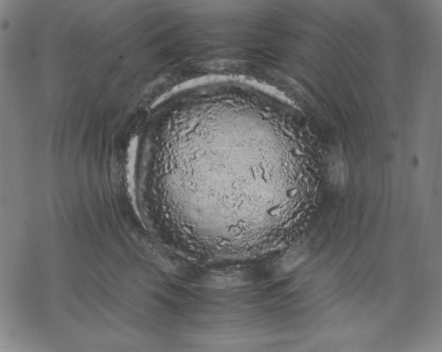 X0000072550569200607281651