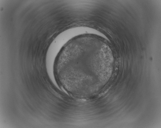 X0000072550572200607281651