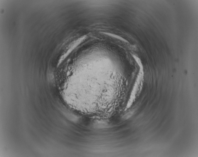 X0000072550573200607281651