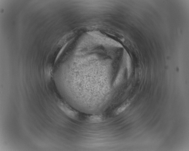 X0000072550574200607281652