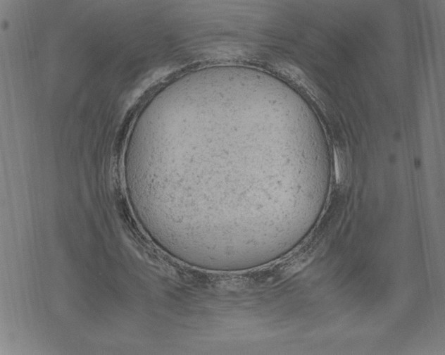 X0000072550579200607281651