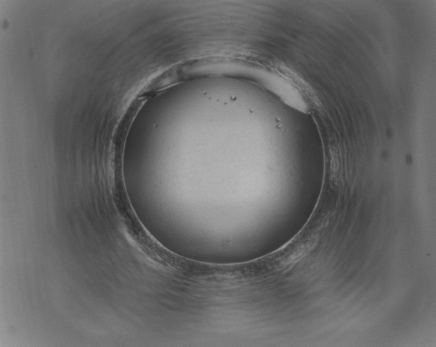 X0000072550580200607281651