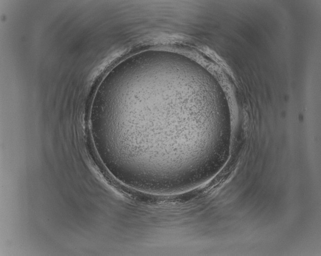 X0000072550581200607281651