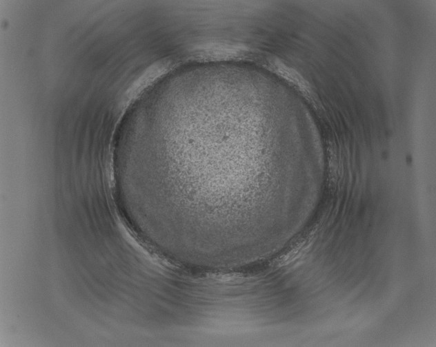 X0000072550582200607281651