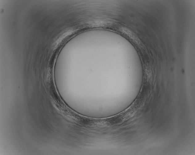 X0000072550583200607281651