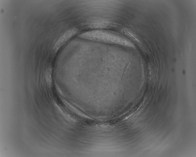 X0000072550586200607281651