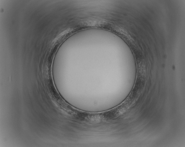 X0000072550587200607281651