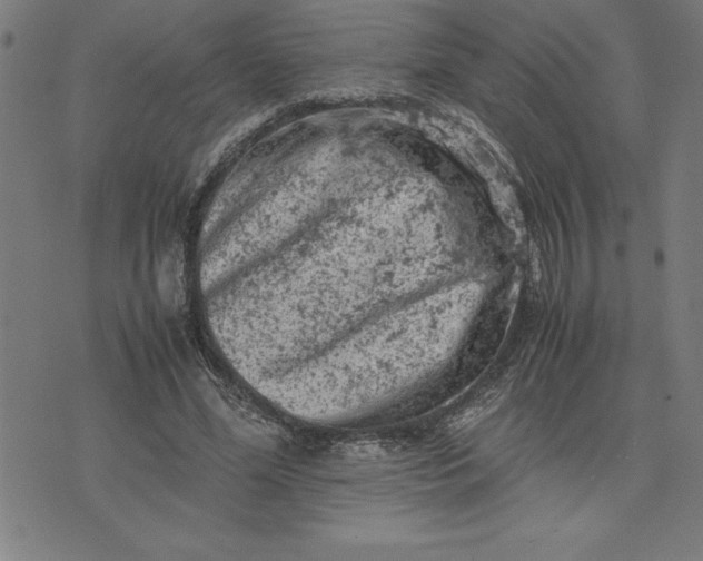 X0000072550588200607281651