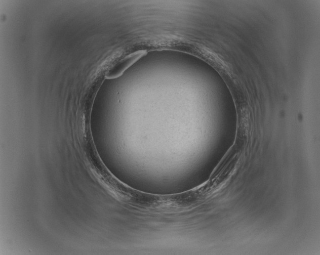 X0000072550589200607281651