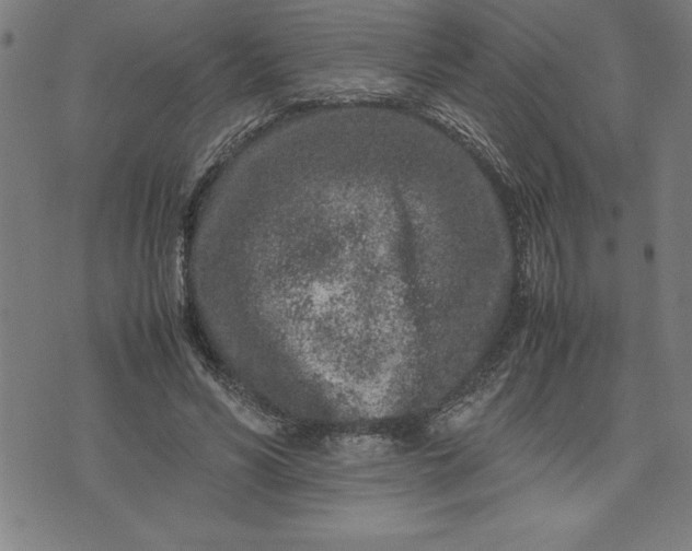 X0000072550590200607281651