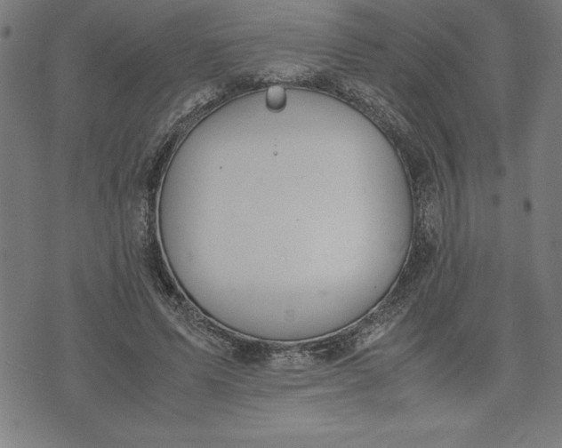 X0000072550591200607281651