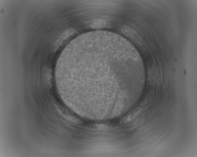 X0000072550592200607281651