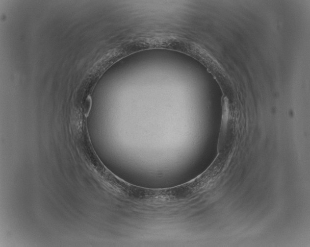 X0000072550593200607281651