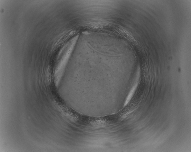 X0000072550594200607281650