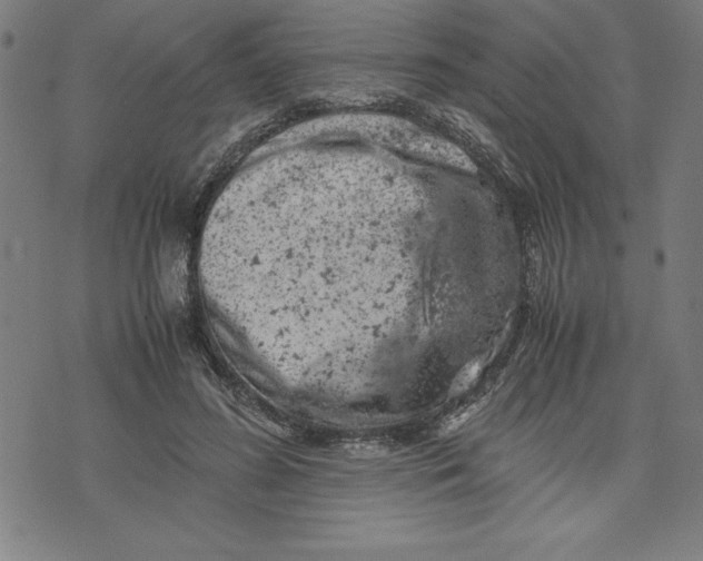 X0000072550596200607281650