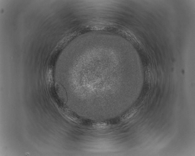 X0000072550598200607281650