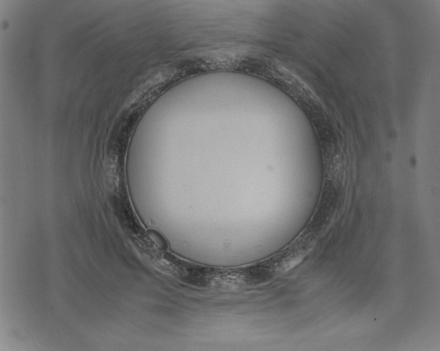 X0000072550599200607281650