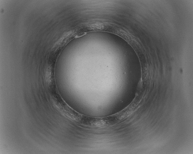 X0000072550600200607281650