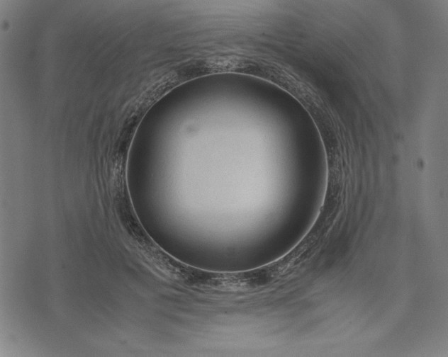 X0000072550601200607281650